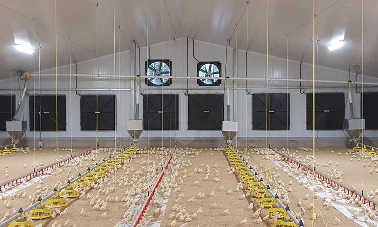 poultry shed